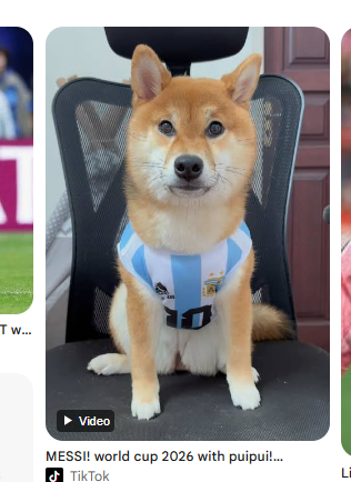 RudolfDang's tweet photo. there is a giga viral shiba inu named "pui pui" who is literally the biggest messi fan.

15m+ views on tiktok, the perfect runner for today

https://t.co/B5IJYjceus https://t.co/N5s7ttvOLG