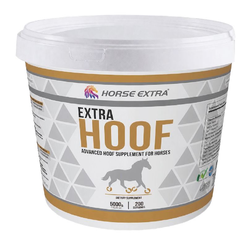 HorseExtra's tweet photo. https://t.co/4rKMnqmyFd https://t.co/hHBtadc8ri