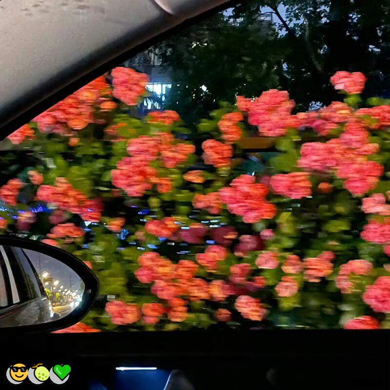 RHansom30309's tweet photo. 👍 😍 🤩 🍀
😀骚货💝潮喷🌸羞耻😋校园🌸学生妹😍麻豆😄互看👏母狗😃夹子音💫寸止🌟白虎🥰辱骂

企鹅裙：1818089

X：@zhien52000

飞机：zuoyi1v1

裸聊/连麦/文爱/调教/寸止 https://t.co/XL5DbzLM68