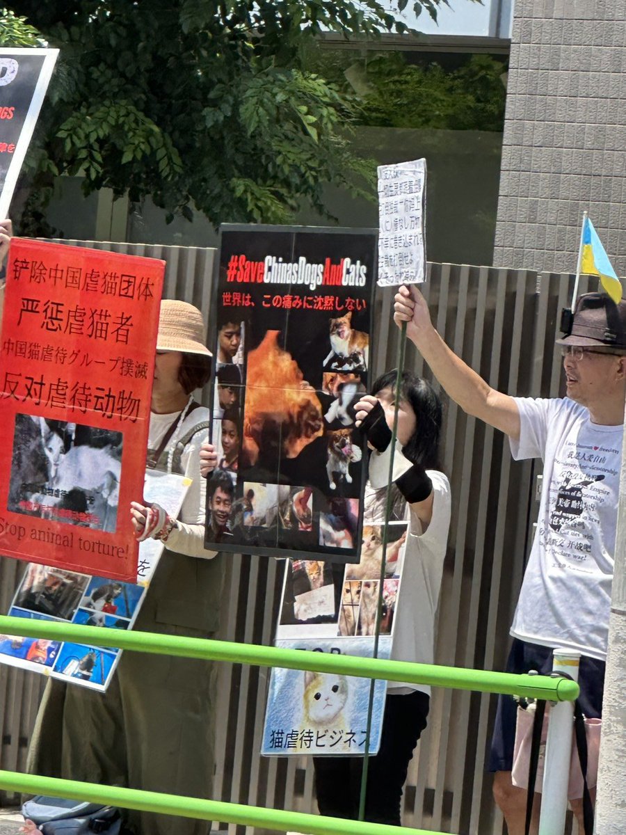 Sea_381's tweet photo. ‼️私達は声を上げ続ける‼️
#JusticaPor旺旺
#JusticeForWangWang
#中国猫のSOS https://t.co/eRRdoJxH3t
