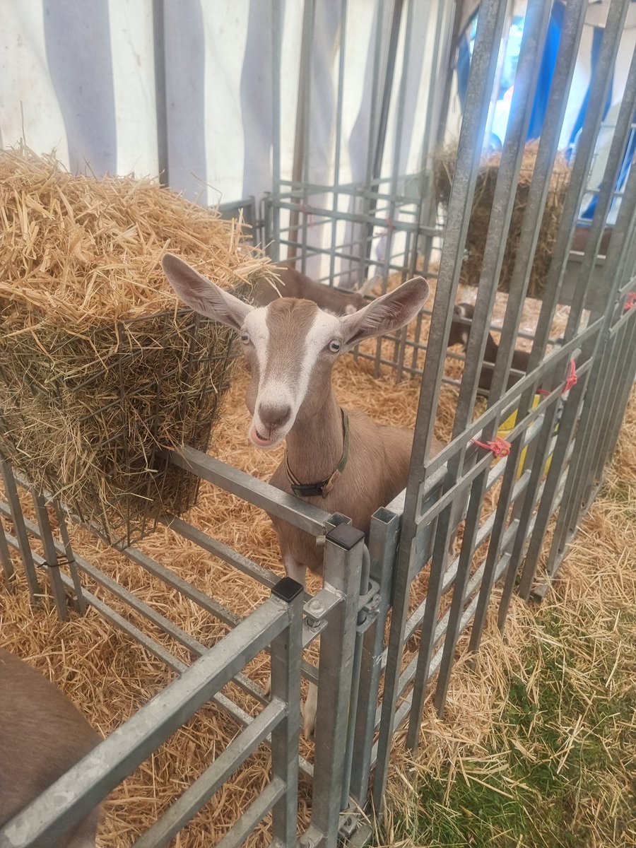 TankLovingGirl's tweet photo. met Ronaldo today https://t.co/kESjn5EcLy