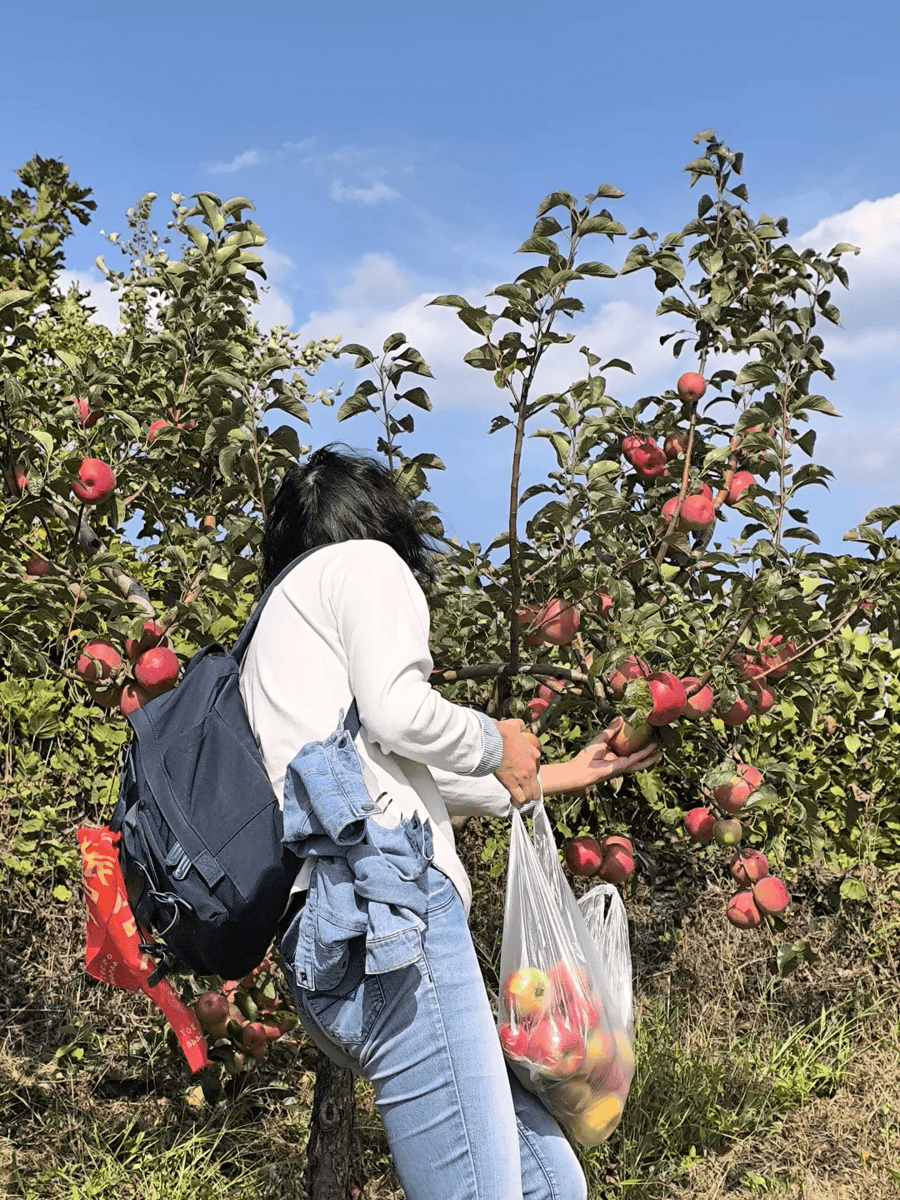 jejelovely's tweet photo. Fresh autumn breeze brings cozy vibes and a perfect walk to pick apples , love this crisp season!， https://t.co/ta1OBzREYP