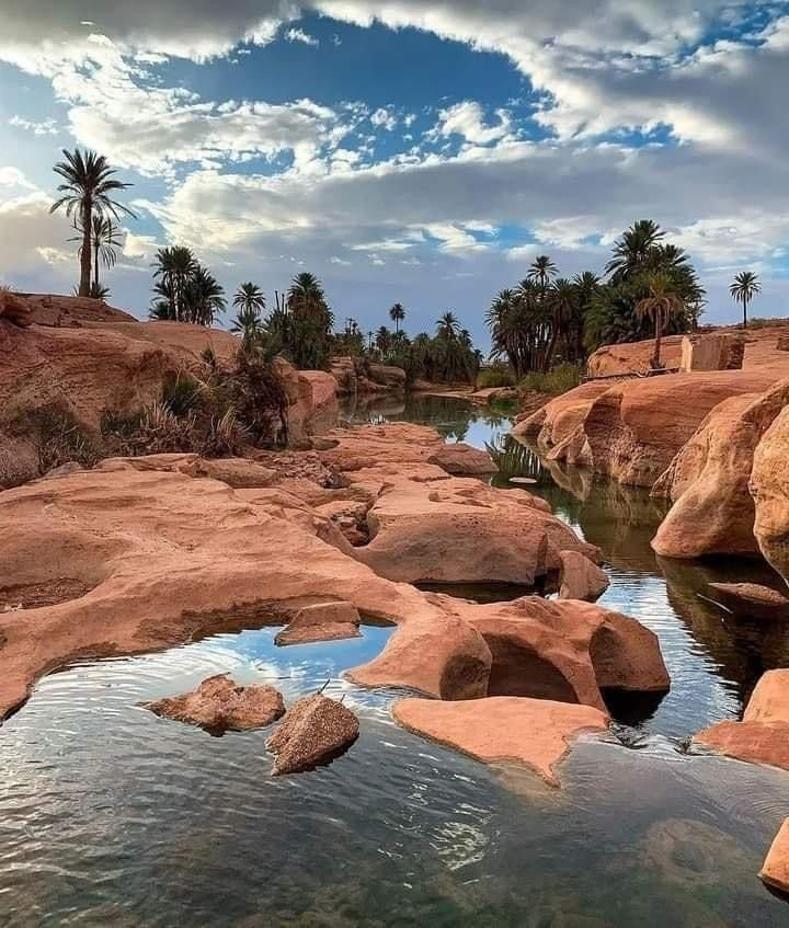 SView8091's tweet photo. فِي الصَّحْرَاءْ، الصُّمْتْ أَحْيَانًا يِحْكِي أَجْمَلْ الْحِكَايَاتْ. 💛 https://t.co/A9Ra5h0RUC