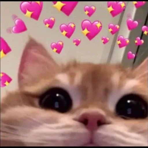 WitchsDiary1's tweet photo. @DanDelionnwld OH.GOD.... masterpiece https://t.co/IeJsTtecOH