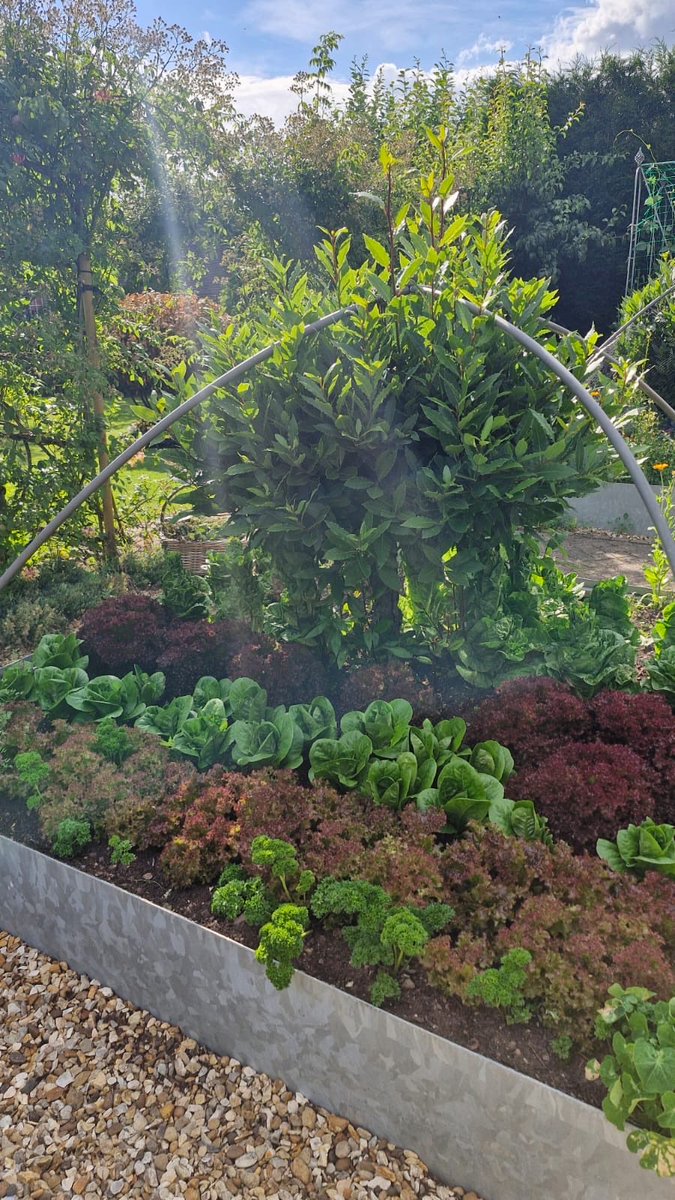 The potting shed tweet media
