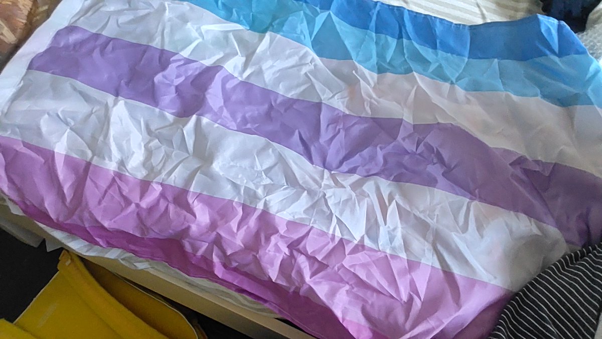 Mas301624's tweet photo. me knowing that id never get to put this in my romm bc i got asia transphobic parents but still buying it https://t.co/SPKsQObBQK