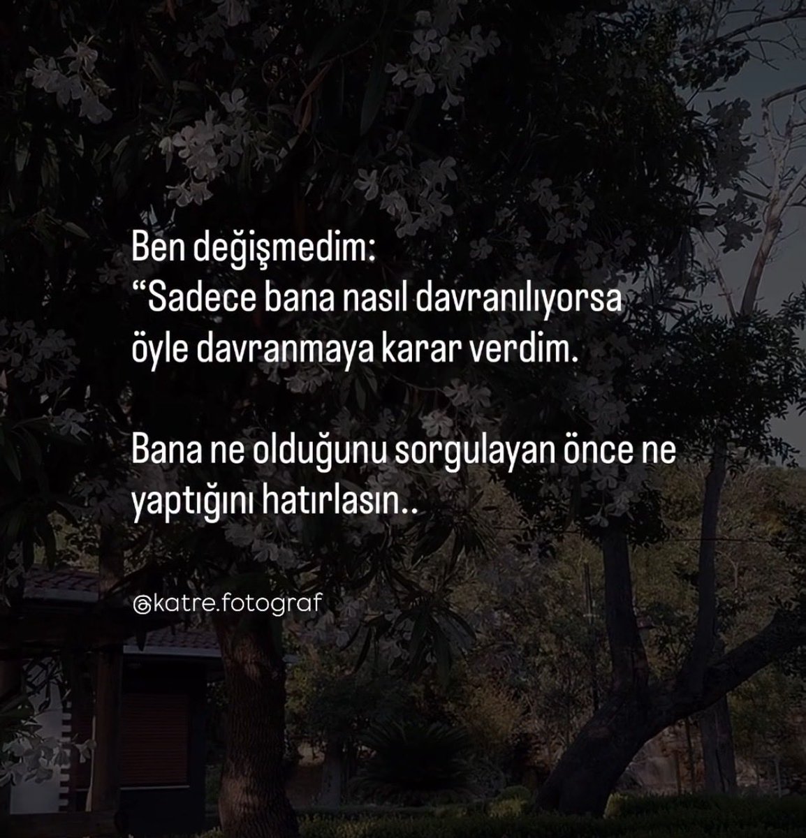 Bnur750's tweet photo. https://t.co/BPvTRXxaNt