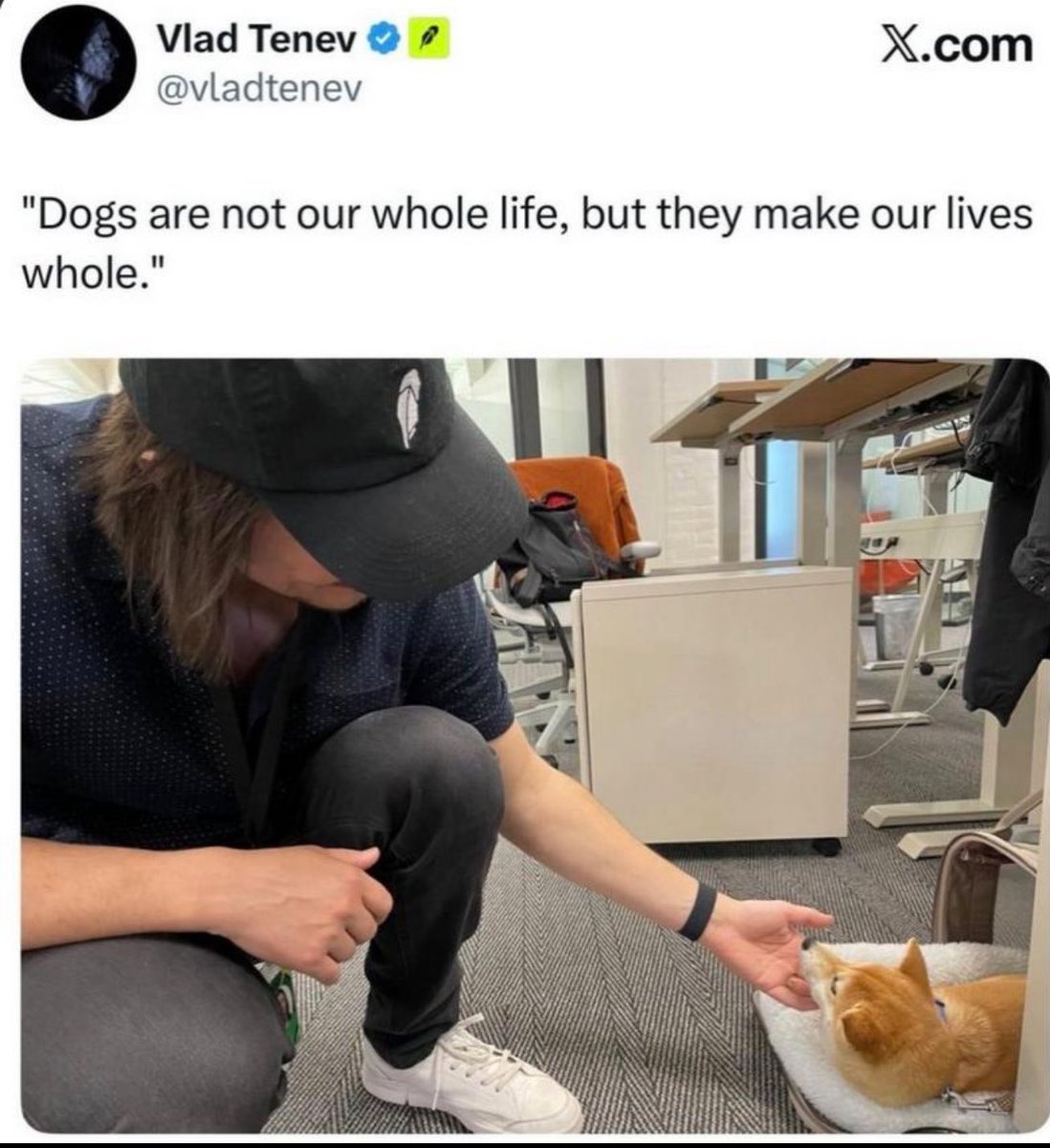 DigitalDoughboi tweet media