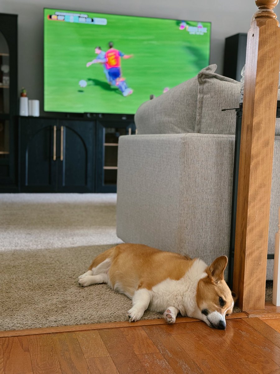 CorgiChica's tweet photo. Waiting for BTS like…🫠🫠🫠 #BTS #FifaWorldCup #HalftimeShow https://t.co/tZiSjZ8PkS