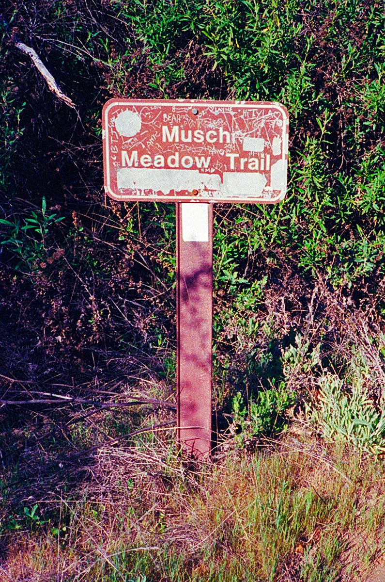 JOECUPS's tweet photo. Walk from Trippet Ranch to Eagle Rock

🚶🏻⛰️ (4 of 5)

#35mm #35mmfilm #Kodak #KodakPortra #Cinestill https://t.co/flGo1Brcz2