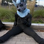 Photo by The Busy Blue DeerDog @ Furpoc (@_Narct)