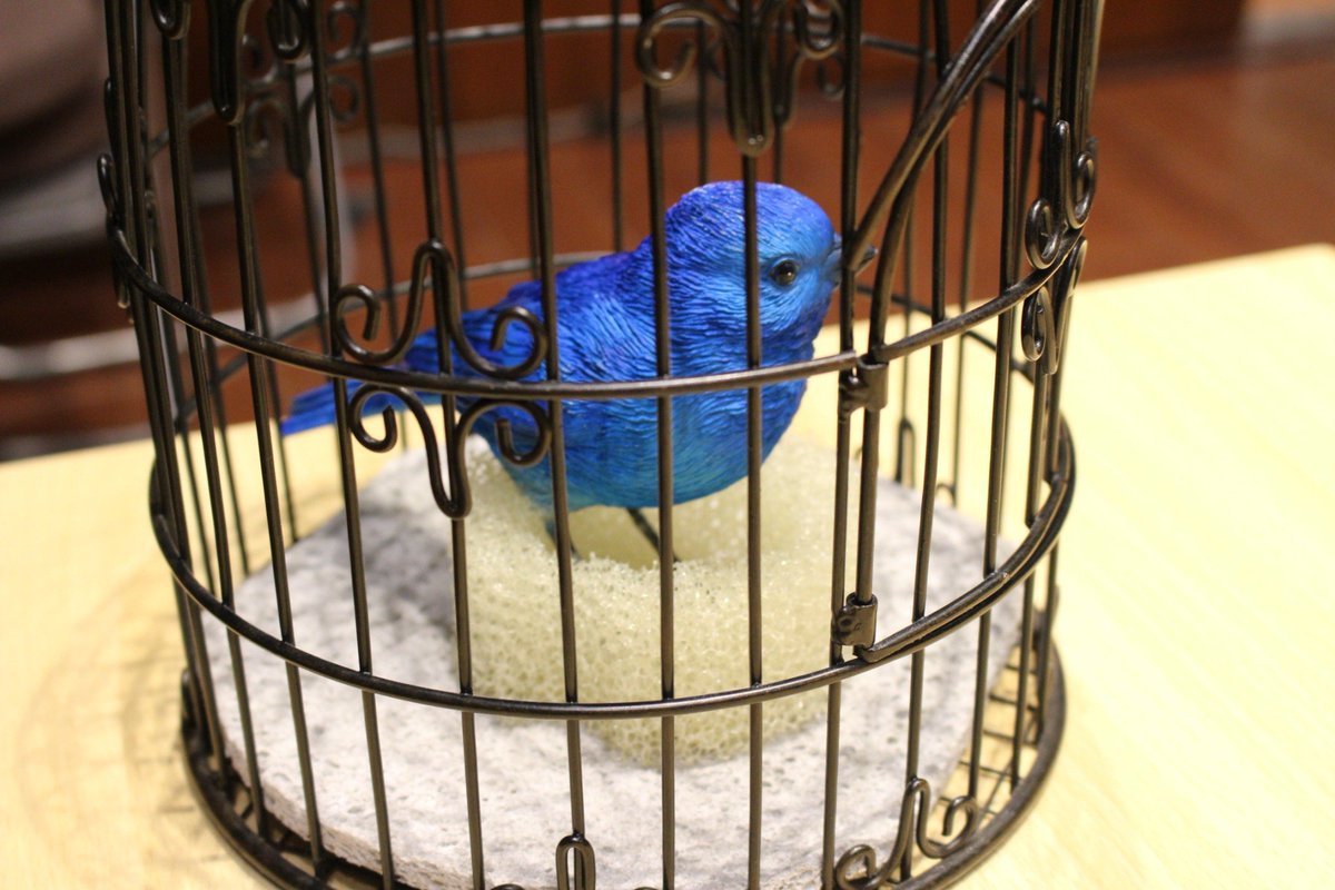 tosyfukui's tweet photo. さあ！
帰還日じゃ！

『幸せの青い鳥よ～
みんなを無事に到着させておくれ～🐦💨』

距離との熱い戦いが始まるのだ…⚡

俺は勝ってやるぅ❤️

バイバイ弘前😘

#万華の鏡
#万華の鏡弘前 https://t.co/wMHQdOXUr5