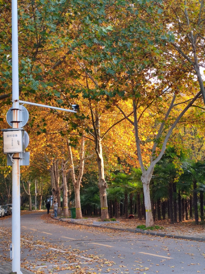 ccaic32's tweet photo. The first autumn breeze brings cozy vibes, warm cider, and colorful leaves—perfect for a slow walk this weekend! https://t.co/h9SmjNxXCz