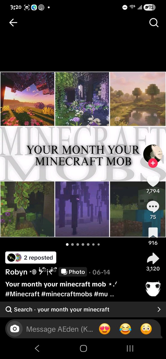 fefe tweet media