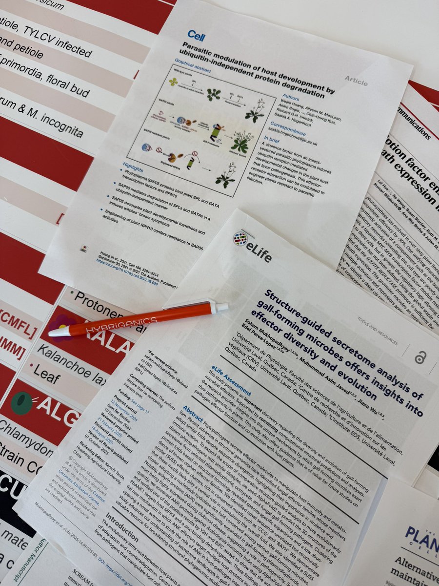 Edel_PLopez's tweet photo. Excited to see our study featured by Hybrigenics at #PlantBio26, together with the groundbreaking research from @SaskiaHogenhout group 🌿👏 https://t.co/oIFBipr39D
