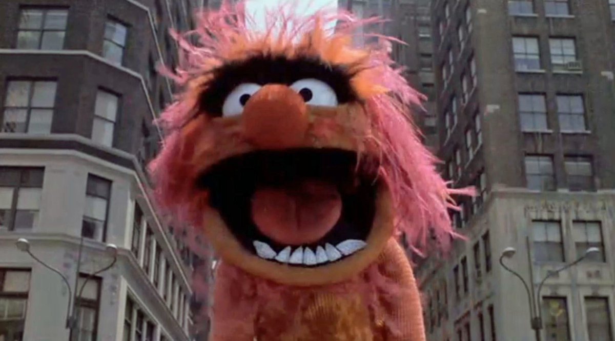 danielperrone's tweet photo. O ANIMAL dos Muppets é a melhor coisa que você poderia ver nesta final de Copa do Mundo! https://t.co/Ix0E8Sti9u