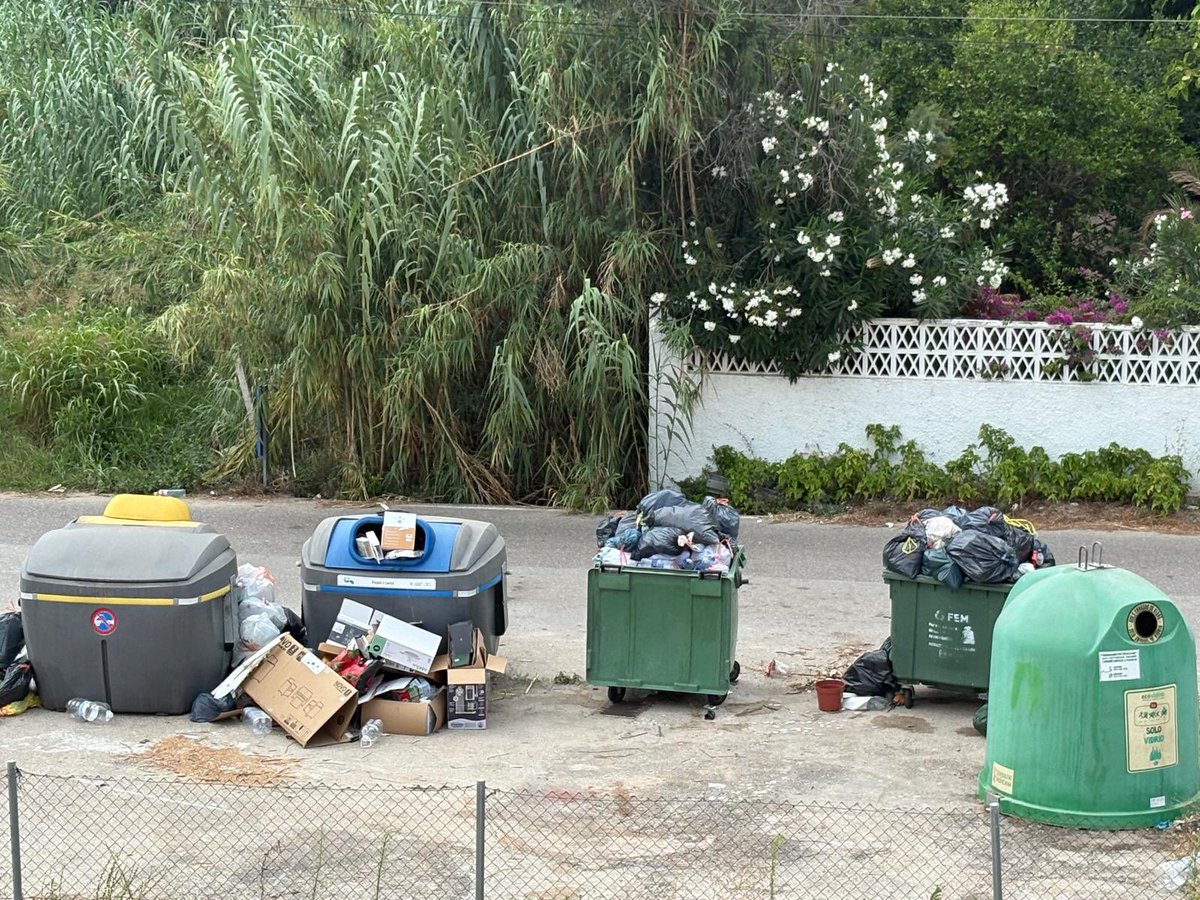 ElenaCaballeroR's tweet photo. @AjuntamentOliva vergüenza da como tenemos los contenedores en Camí Bassetes.. y sin solución. Pagar si pagamos pero como siempre … todo sigue igual
Todo el mundo a tirar la basura aquí y por el suelo y sin recoger #enriqueparra #concejalmedioambiente a ver si haces algo https://t.co/xVawQBEpLf
