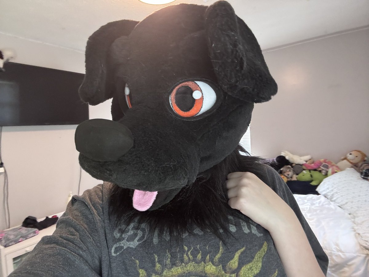 Daxtrdoggo67's tweet photo. just created my second ever ref sheet for a girl i own!! :D am very happy with it :3 i have some art of her but i think i should commission more lolz https://t.co/EwWuQYHaAp