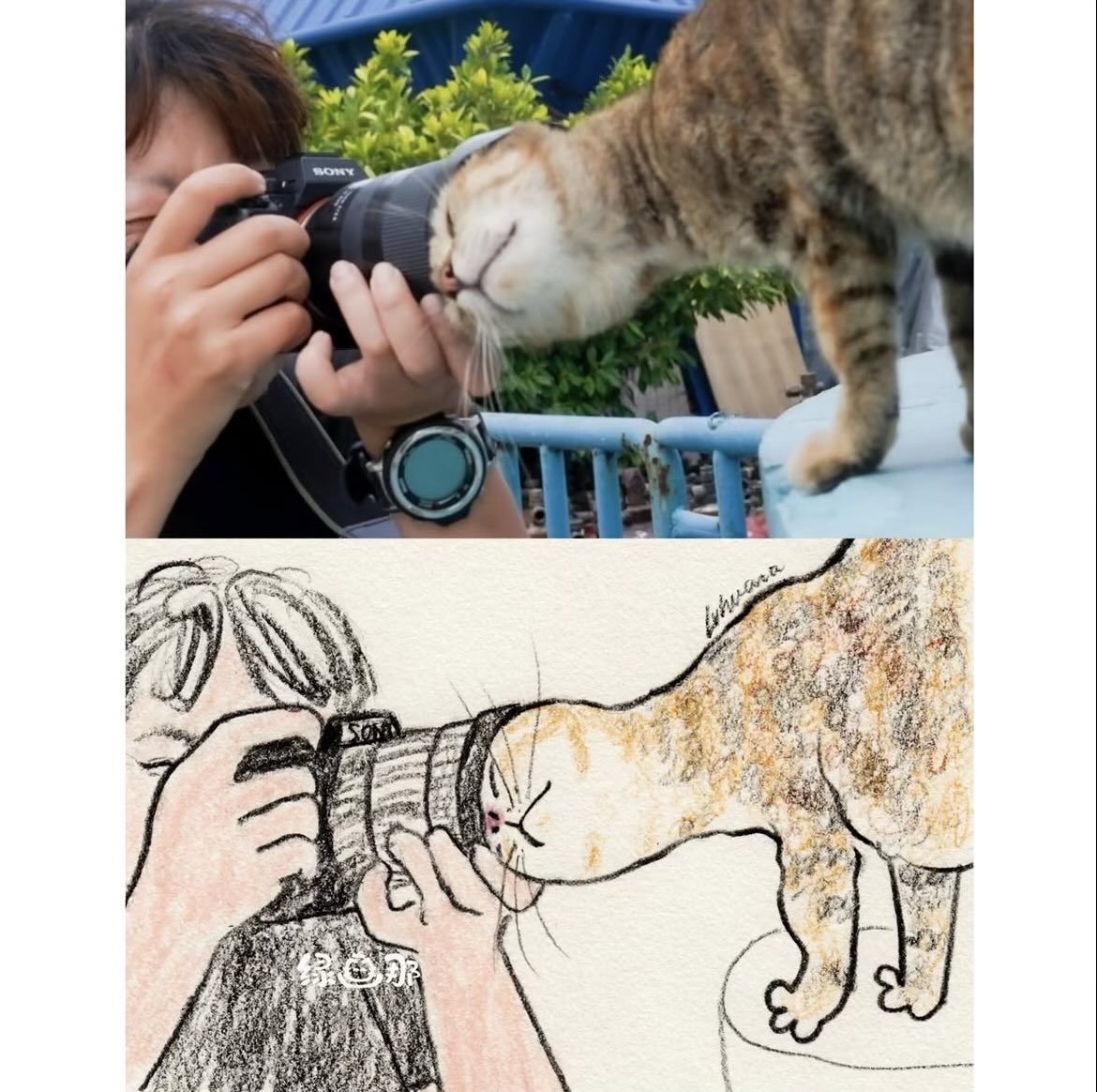 PowerfulAuraX's tweet photo. https://t.co/mkfB4vTFPK