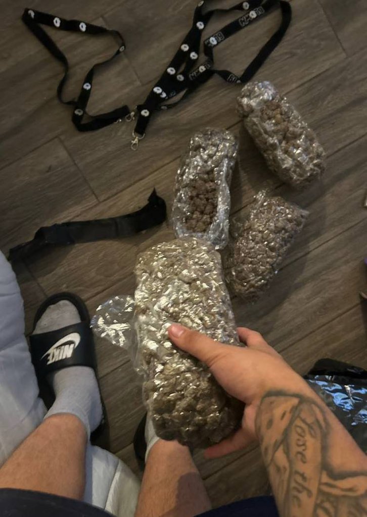 legit_one420's tweet photo. we will be back in south florida next week! tap in with us if you need anything from gas to carts to shrooms π₯βοΈ #miamiplug #miamiweed #ftlauderdale #fortlauderdale #westpalmbeach #wynwood #brickell #broward #browardplug #shroomsinmiami #miamicarts #southflorida #delraybeachplug https://t.co/jRJdhjDFbD