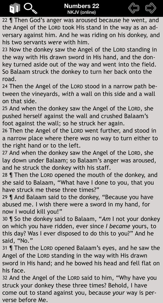 Ad_Crucem's tweet photo. Gotta love the Donkey! https://t.co/Xeq24Iuk1t