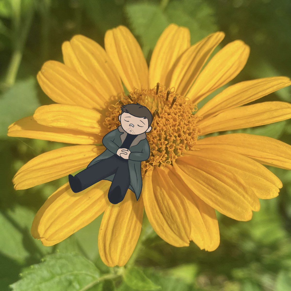 joczaro's tweet photo. all of the yellow flowers make me think of him... sleep tight little prince🤧
#br2049 #officerk https://t.co/aBXdjursu0