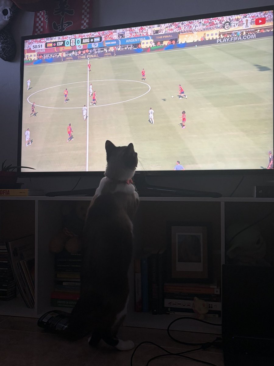 ceciliarosaluxo's tweet photo. Cecilia Rosa pública posicionamento oficial sobre sua torcida direcionada a qualquer time que esteja contra a Argentina. Os boatos sobre sua participação no show do intervalo permanecem sem esclarecimento. https://t.co/l4byn8yidt