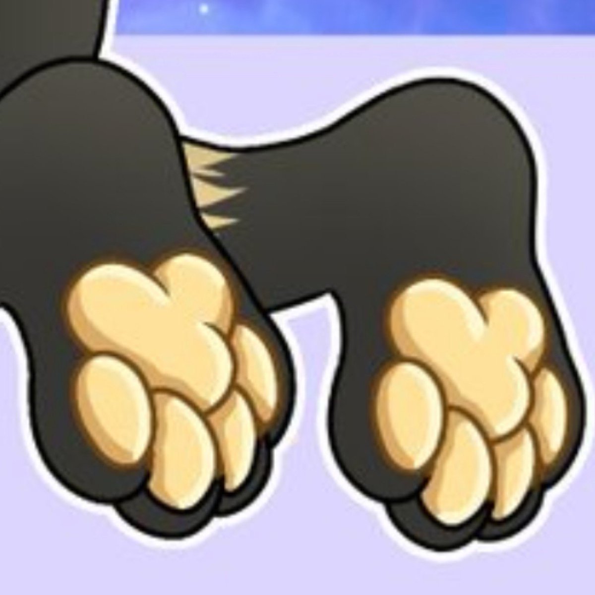 River 🦝 18+ tweet media