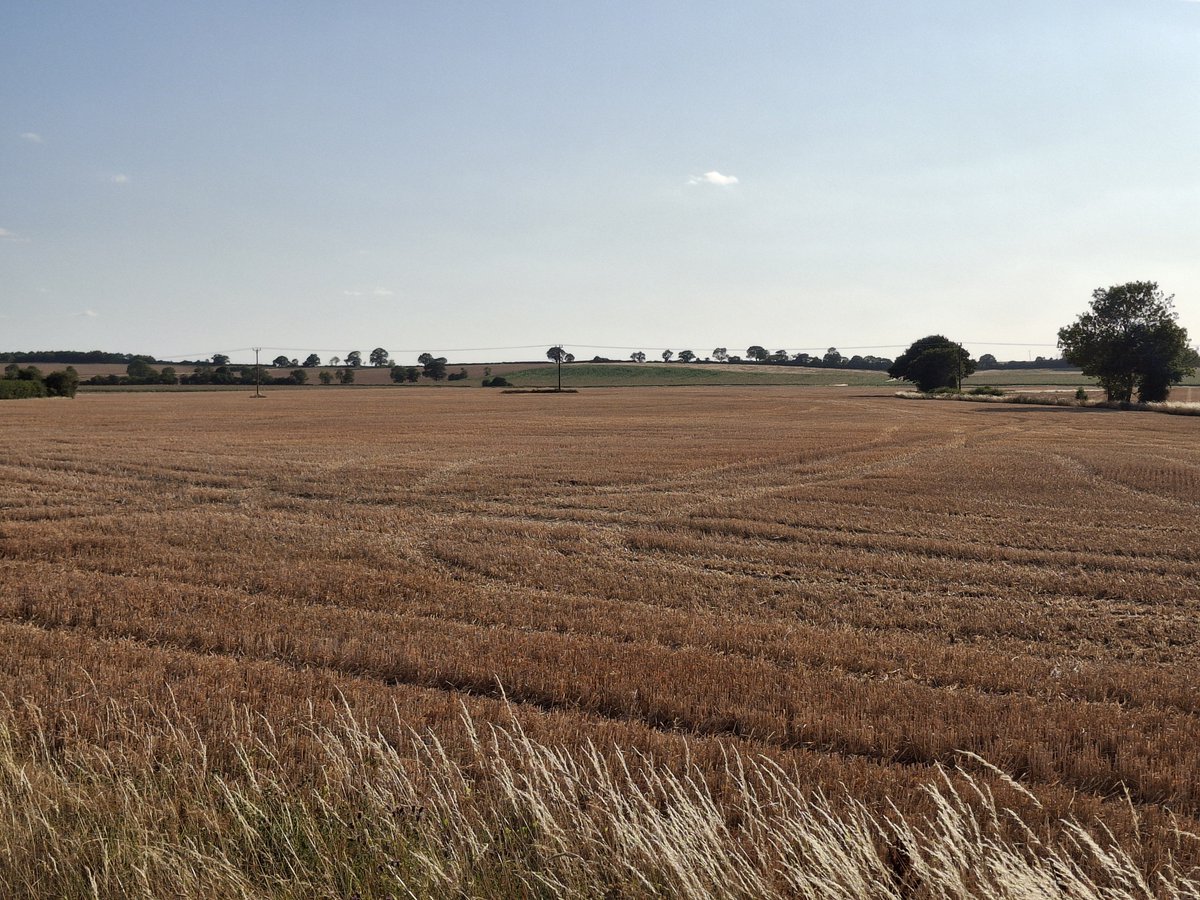 JustinDB1974's tweet photo. A pre football summer evening walk in the motherland (Lincolnshire fens)! #Lincolnshire #fens https://t.co/DjSGIT4qeX