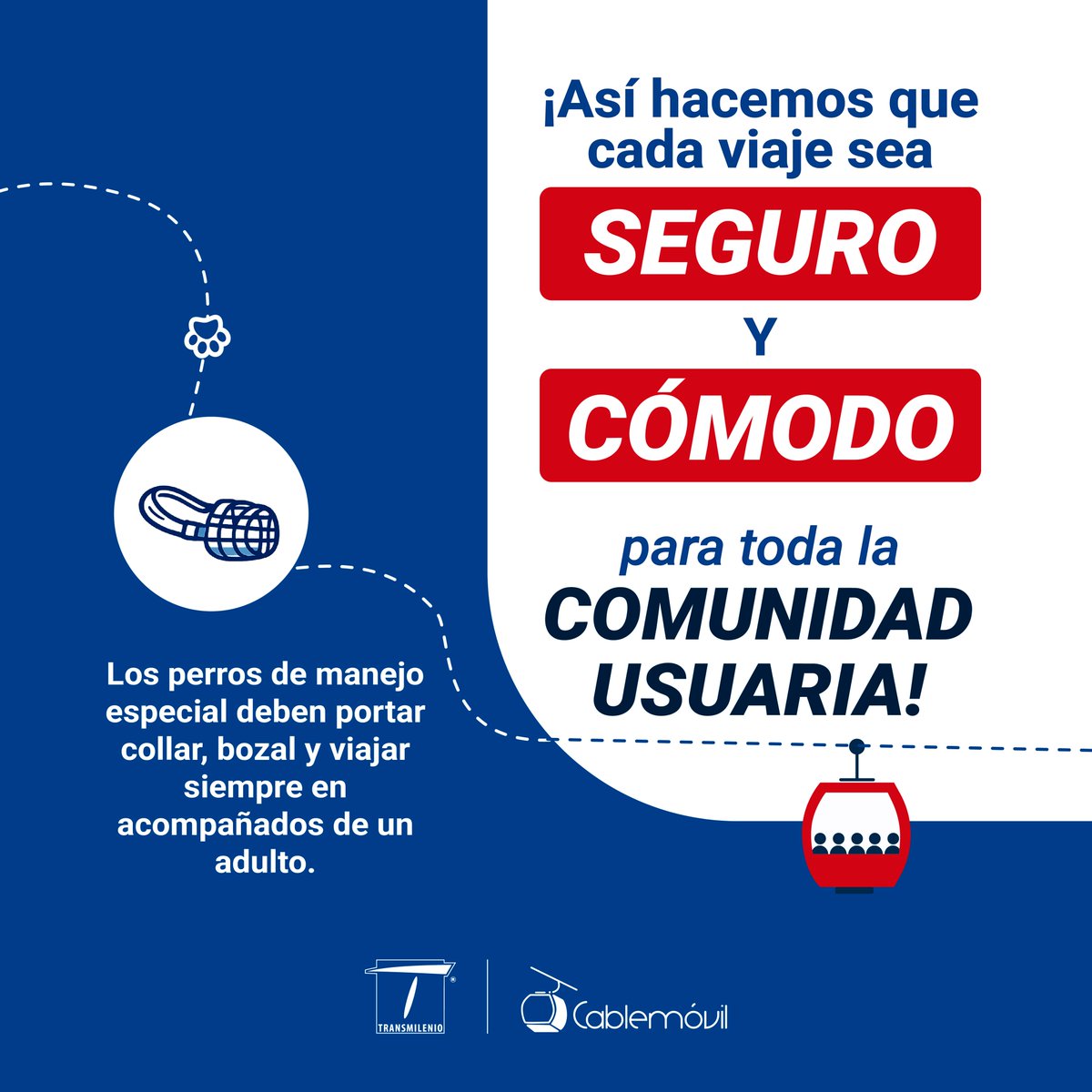 Cablemovil_COL's tweet photo. 🐶❤️ Conmemorando el #DíaMundialDelPerro, recordamos que en #TransMiCable tu peludito también puede viajar contigo. Solo necesitas seguir algunas recomendaciones.👉 Desliza este carrusel y descubre cómo viajar con tu mejor amigo.
🐾 Porque ellos también hacen parte del viaje. https://t.co/W3Td6S5eWr