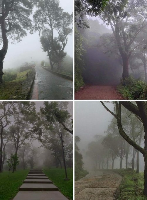 GroupLar's tweet photo. El frío, el aire fresco y esa tranquilidad que lo hace todo más bonito. 🍃🤍 https://t.co/fV6Fo0b0Zx