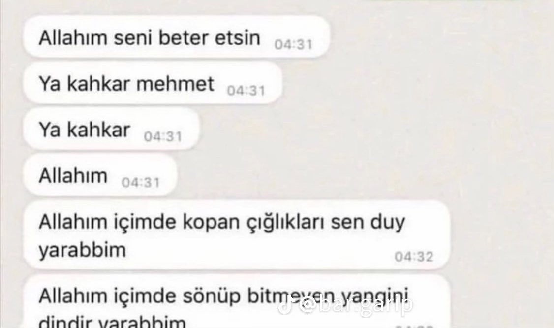 Leyla tweet media