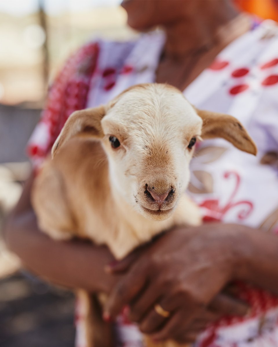 Compassion International tweet media