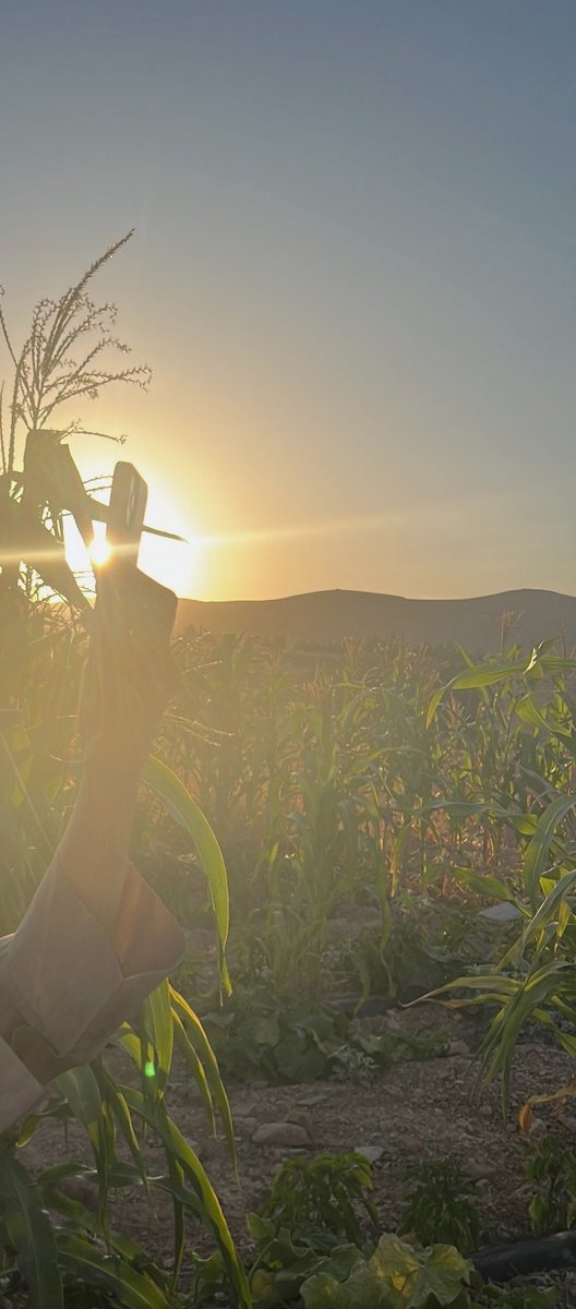 Rms13_'s tweet photo. Feels like summer🌾🌞 https://t.co/3oetGrrF2I
