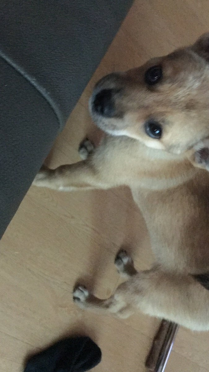 l1fybb's tweet photo. 바보 https://t.co/6sV34Hlrqz