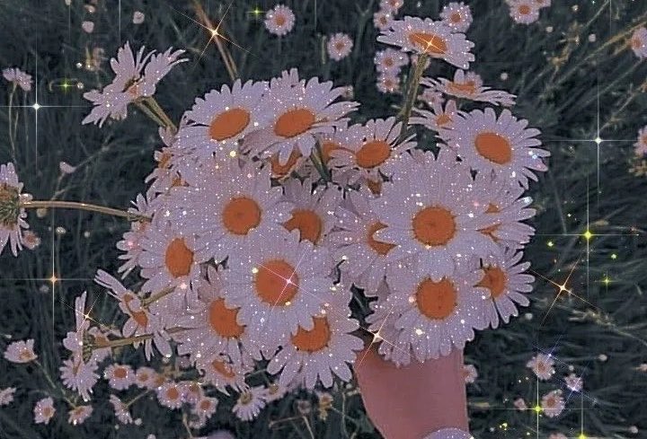 alsamt_19's tweet photo. إبتسمّي يا جميلة أنتي وحدكِ تزرعيّن الدُنيا زهّر♥️🌿. https://t.co/7t3jbOgZNx