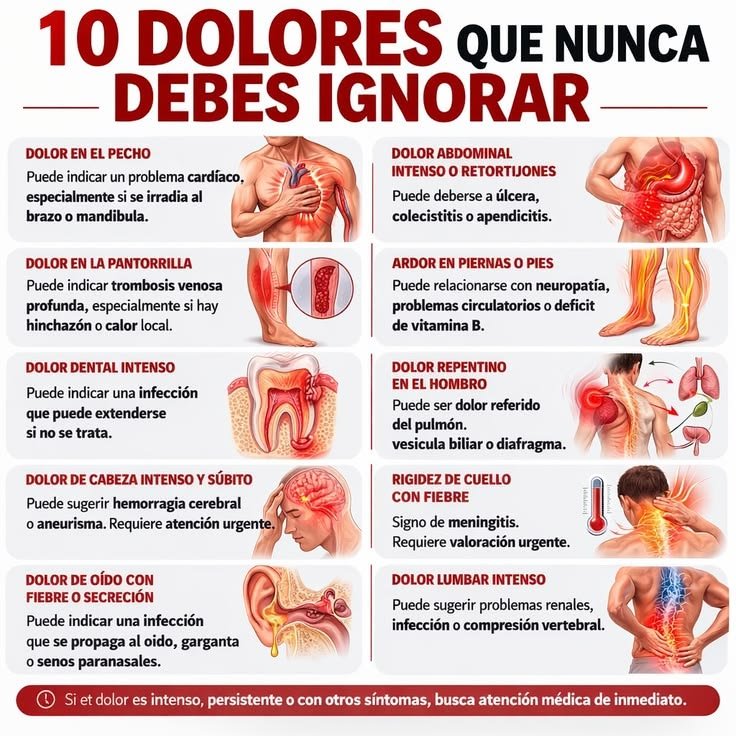 SumaYVive's tweet photo. "No es nada, ya se me pasará."

Es la frase que más repetimos en casa. Y puede ser la más cara de tu vida.

Tu cuerpo no falla de golpe. Primero te avisa. Te manda una señal, y cuando no le haces caso, te manda otra más fuerte. El problema es que solemos confundir la señal importante con la de todos los días.

Hay 10 dolores que son distintos a los demás: son la forma que tiene tu cuerpo de pedirte ayuda.

Apunta bien.

Dolor en el pecho que sube al brazo o a la mandíbula. Puede ser tu corazón pidiendo auxilio.

Un dolor de cabeza brutal que aparece de repente, como nunca antes. Puede señalar una hemorragia o un aneurisma. Aquí cada minuto cuenta.

El cuello rígido y fiebre a la vez. Es una de las señales de meningitis, y no admite esperar a mañana.

Dolor en la pantorrilla con hinchazón o calor en la zona. Puede ser un coágulo (trombosis) que no debería estar ahí.

Dolor de barriga muy intenso o retortijones que no ceden. Detrás puede haber una úlcera, la vesícula o el apéndice.

Dolor repentino en el hombro sin haberte golpeado. A veces ni siquiera nace ahí: es dolor reflejo del pulmón, la vesícula o el diafragma.

Un dolor de muela que no calma con nada. Una infección dental puede extenderse a zonas mucho más delicadas de lo que imaginas.

Dolor de oído con fiebre o supuración. Puede ser una infección abriéndose paso hacia la garganta o los senos de la cara.

Ardor u hormigueo en piernas o pies. Suele hablar de daño en los nervios, mala circulación o falta de vitamina B.

Dolor lumbar fuerte que no es el típico de cargar peso. Puede venir del riñón, de una infección o de la columna.

Ahora la parte incómoda.

Piensa en la última vez que tu cuerpo te avisó y seguiste como si nada, por los niños o por el trabajo, convencido de que ya habría tiempo para mirarlo.

Pero tu salud no entiende de agendas. Y la persona fuerte que aguanta todo por los demás, algún día también necesita que alguien la cuide a ella.

Escuchar a tu cuerpo a tiempo es el gesto más responsable que puedes tener con la gente que te quiere.

Un aviso importante: nada de esto sustituye a un médico. Si un dolor es intenso, no se va o viene acompañado de otros síntomas, no lo consultes con Google. Ve a que te vean.

Guarda este post y mándaselo a esa persona que siempre dice "no es nada". Hoy quizá le ahorras un susto de verdad.

Por aquí te enseño a entender lo que tu cuerpo intenta decirte antes de que se convierta en una urgencia. Quédate si quieres cuidarte con cabeza.