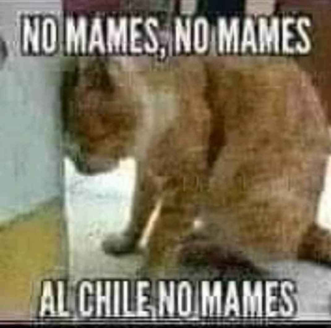 yera____'s tweet photo. @Jomacs_ Dejaré esto por aquí, por si acaso https://t.co/IPUDqlaWJI https://t.co/LIUVQcUd4f