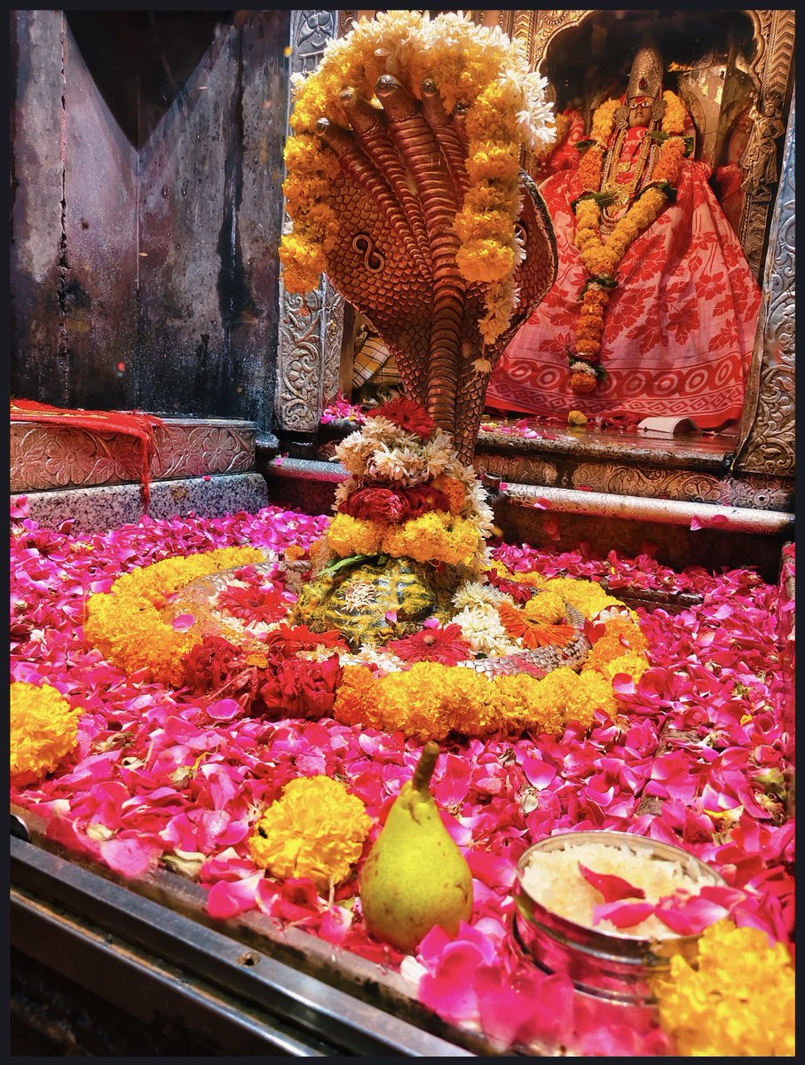 12Jyotirling's tweet photo. श्री ॐकारेश्वर ज्योतिर्लिंग मंगला आरती श्रृंगार | 20.07.2026

Shri Omkareshwar Jyotirlinga Mangala Aarti Shringar | 20.07.2026 https://t.co/Bgg0xXsIEL
