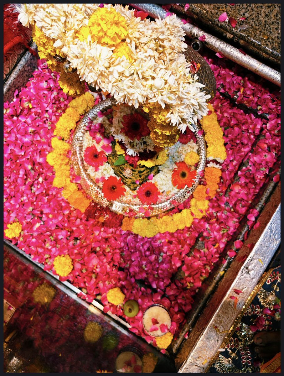 12Jyotirling's tweet photo. श्री ॐकारेश्वर ज्योतिर्लिंग मंगला आरती श्रृंगार | 20.07.2026

Shri Omkareshwar Jyotirlinga Mangala Aarti Shringar | 20.07.2026 https://t.co/Bgg0xXsIEL