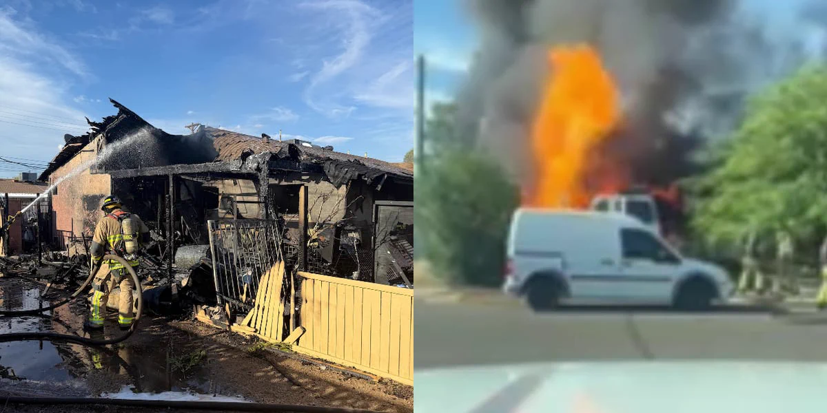 A house fire killed two dogs in Scottsdale on Sunday.
