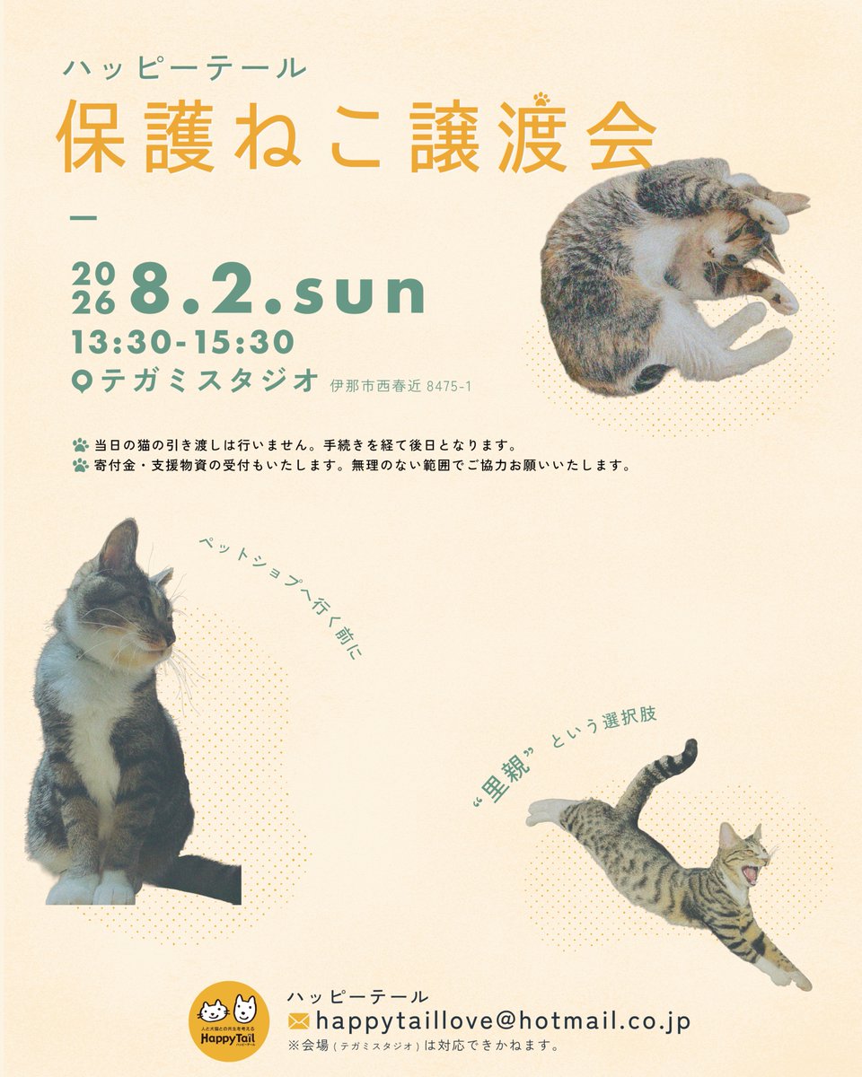tegamistudio's tweet photo. 来月もハッピーテールさん(@happy_tail_love )の譲渡会を開催🐈

支援物資や寄付金の受付、かわいいグッズ販売も😸
ぜひお気軽にご来場くださいませ🎈 https://t.co/UtdVbh0MD3