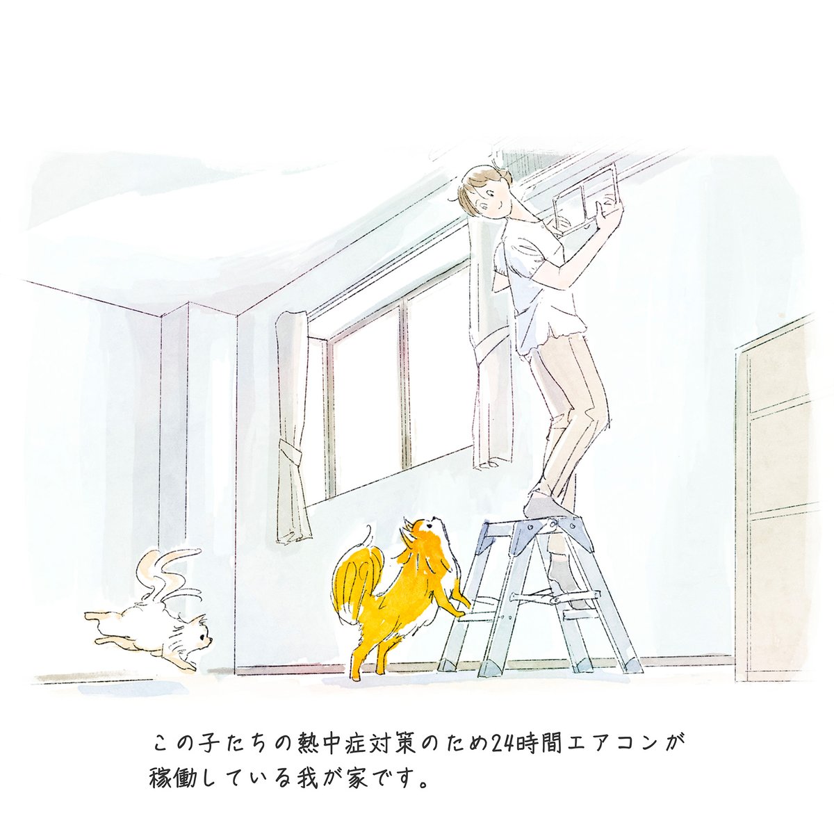 DogfamLife's tweet photo. この子たちの熱中症対策のため24時間エアコンが稼働している我が家です。

#dogfam #こめ #むぎ https://t.co/8cDvrjZkke