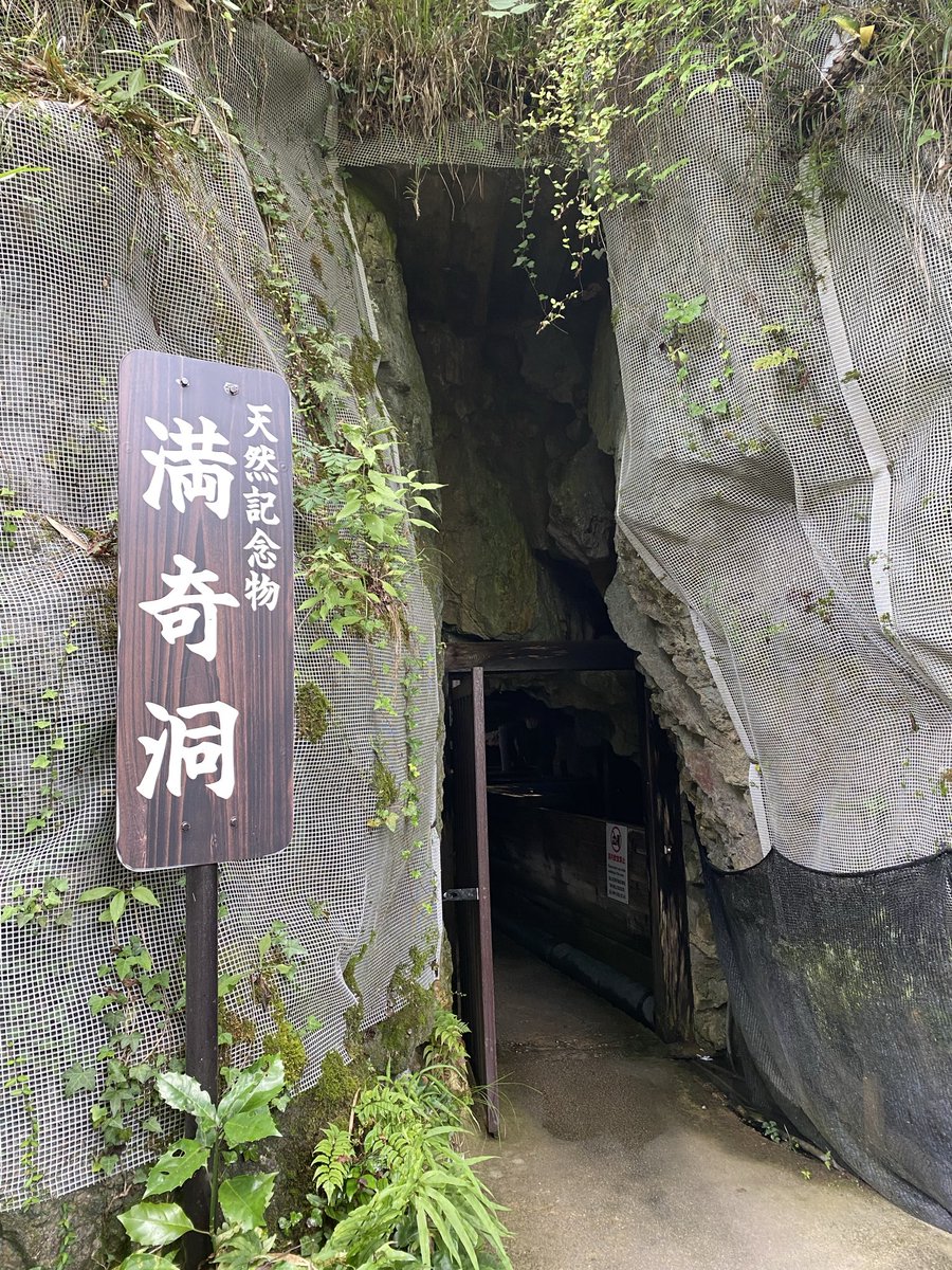 djoser5's tweet photo. 満奇洞！
全体的に低めの構造
鍾乳洞特有のライトアップがええ感じやね https://t.co/vsnEgTJPvJ