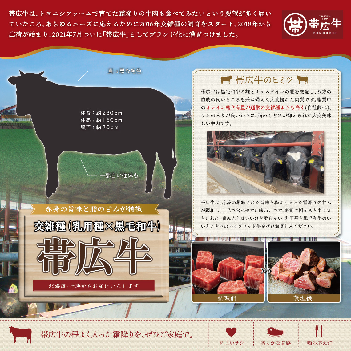 TOYOFAR's tweet photo. 本日は「帯広牛」についてご紹介いたします！🐮
帯広牛は豊西牛と雪美和牛を掛け合わせた牛で、真っ黒な毛色が特徴です。肉質は豊西牛の赤身の旨味と雪美和牛の脂の深い味わいが合わさり、良いとこどりの牛肉です。🥩✨
ぜひ帯広牛をご賞味ください！🍽

通販サイトはこちら：https://t.co/YHgMCWcSoC https://t.co/6lvcBqQWiK