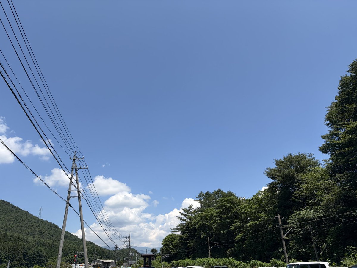 hk_y_'s tweet photo. あまりにも夏 https://t.co/c28ycr1zfY