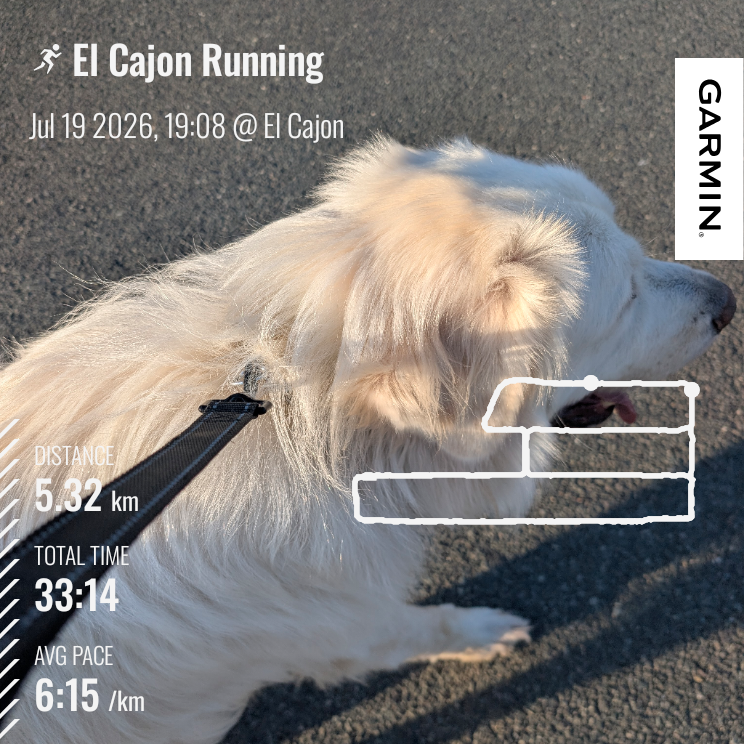 SparkNorkx's tweet photo. 本日の5kmラン終了
#ランニング #garmin #beatyesterday https://t.co/xZlQVBmyeN
