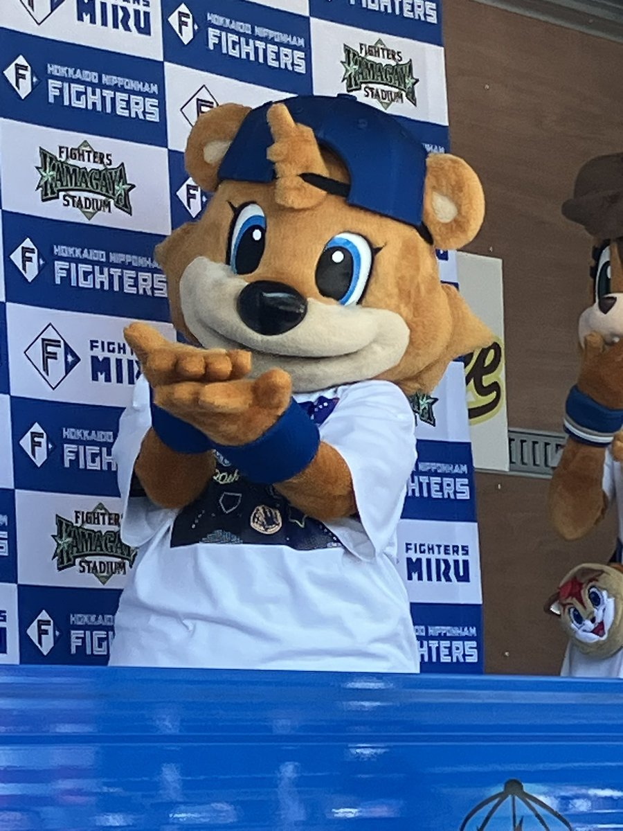 _na0_0na's tweet photo. フレップ🦊に誕生日プレゼントをねだるカビー🐻 https://t.co/ss0flZvAfL
