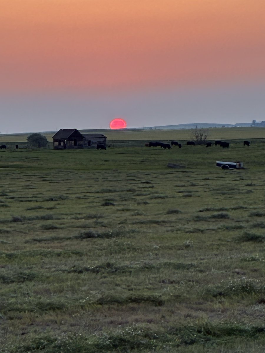 angrycowboy1's tweet photo. Holy cats, look at that sunset!! https://t.co/4WwXwe9RlQ