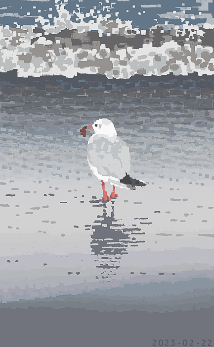J_KMOR's tweet photo. 海と鳥 https://t.co/cEnuPsDIwP